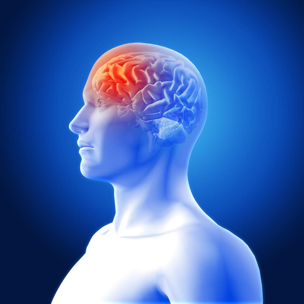 Brain Tumor