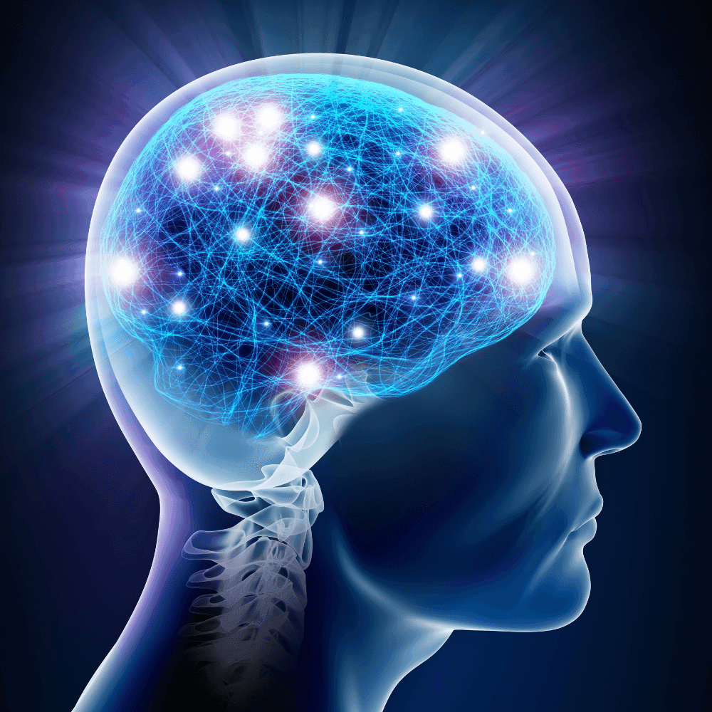 The Role of Nutrition in Neurological Health and Function
