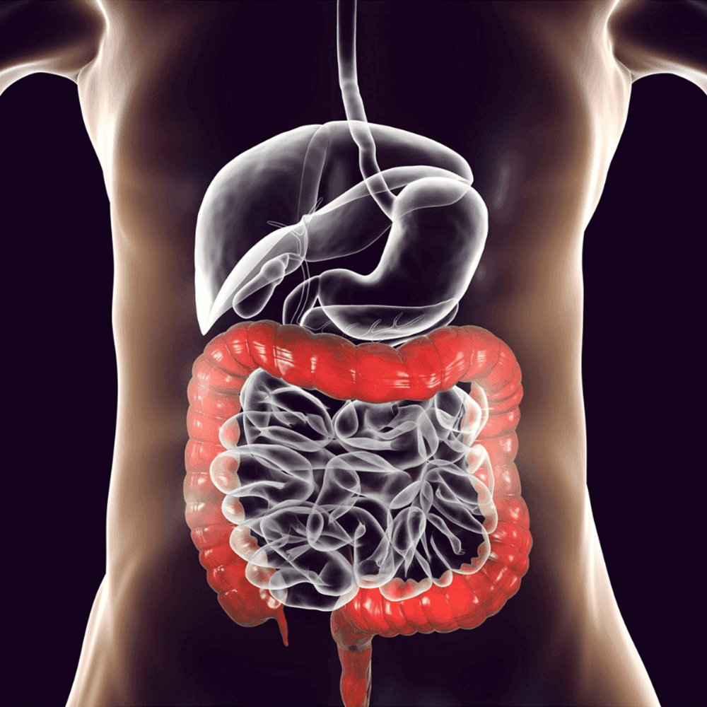 Is There a Link Between Gut Health and Neurological Disorders?