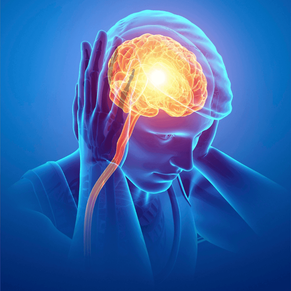 The Mysterious Connection Between Gut Health and Neurological Disorders
