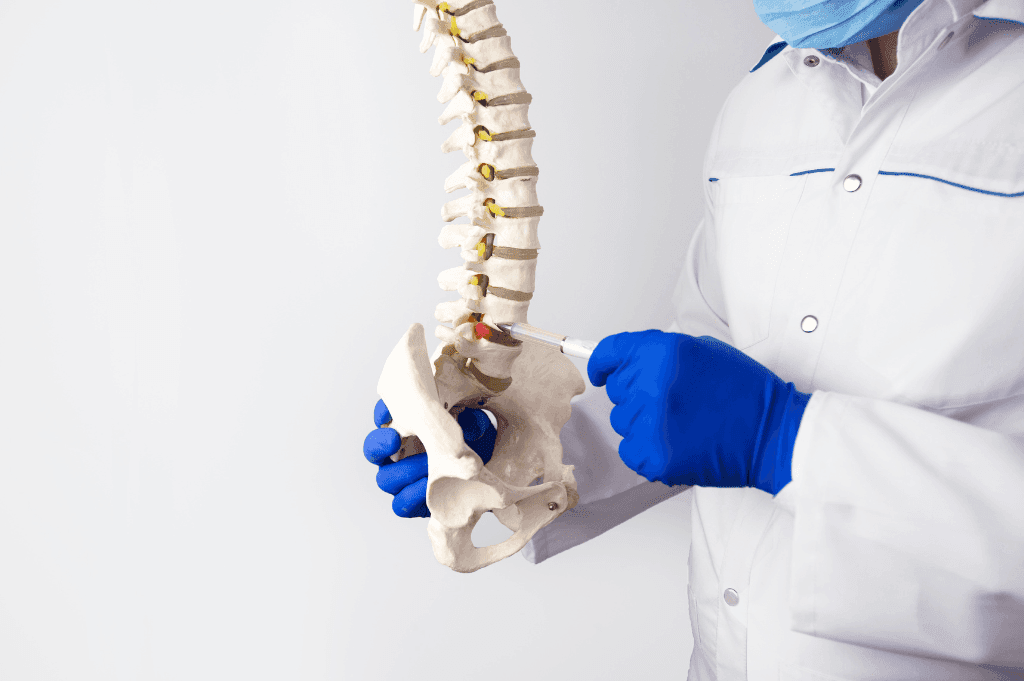 What Are the Benefits of Using Artificial Discs?