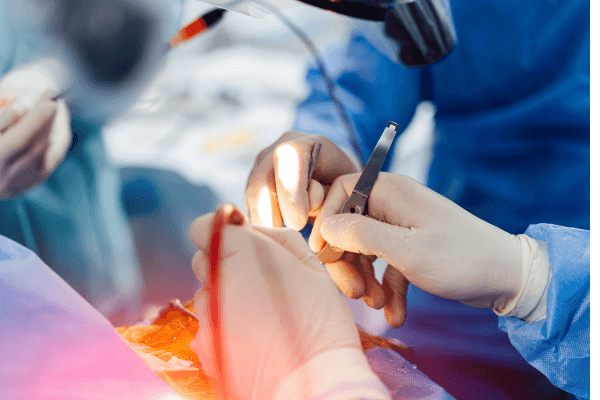 Can Neurosurgery Cure Paralysis?
