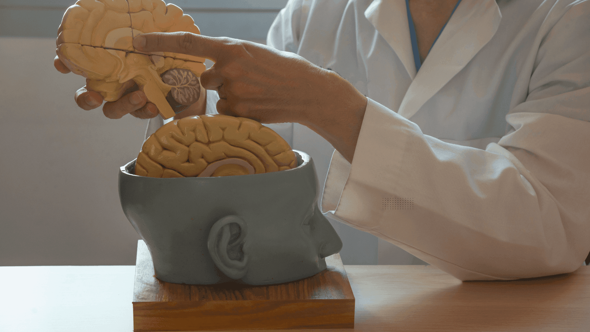Brain Health for All Ages – A Neurosurgeon’s Prevention Guide