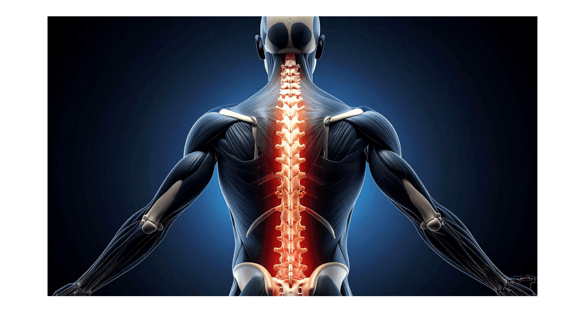 When Spine Disorders Cause Nerve Symptoms: Understanding the Brain–Spine Connection