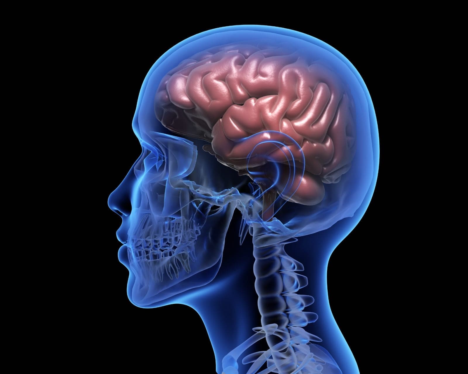Epilepsy Myths and Facts: What Every Family Should Know