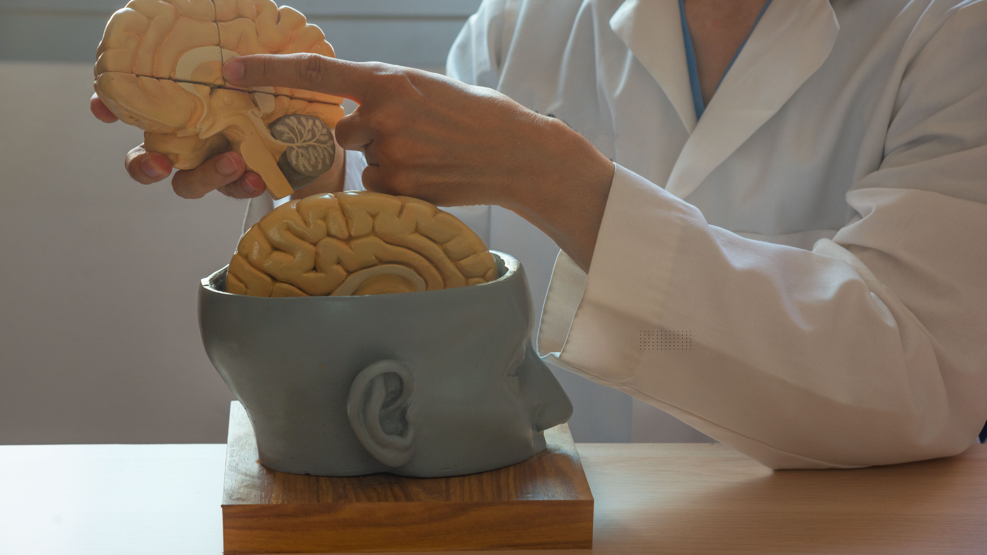 Brain Health Guide